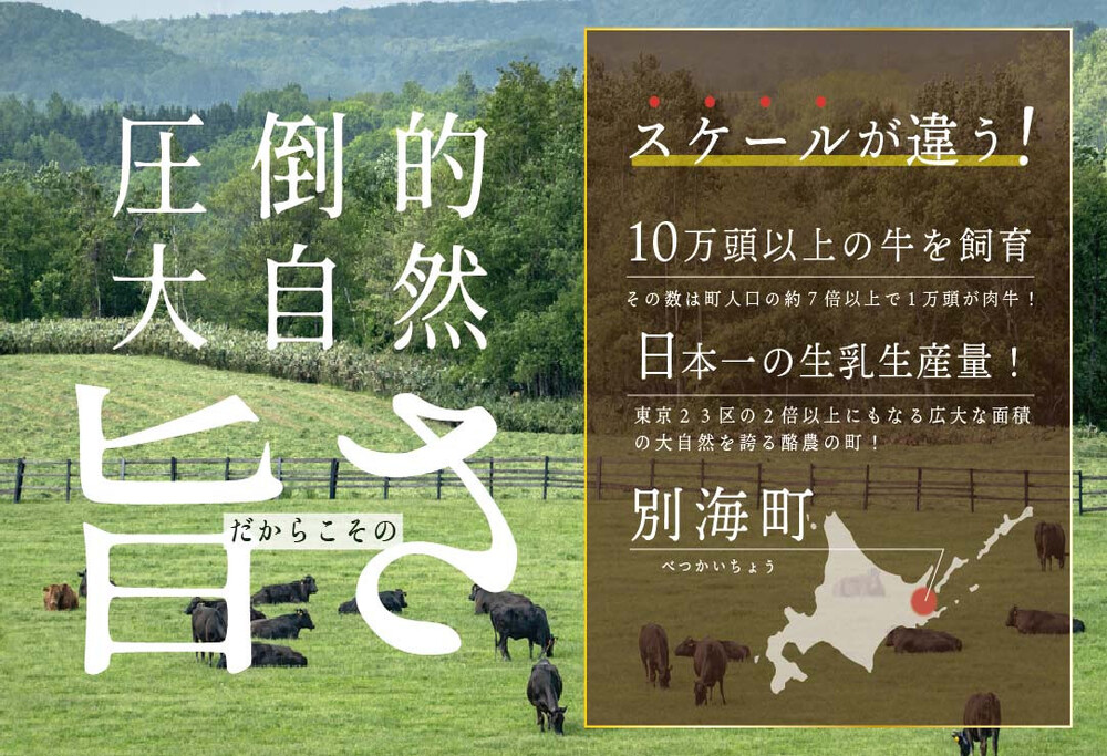 御礼！ランキング1位獲得！贅沢 ハンバーグ 150g×6個 北海道 別海町産 黒毛和牛「 名人和牛」 A5クラス 牛肉 100％ 使用 ハンバーグ