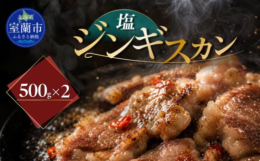 塩ジンギスカン500g×2 【 ふるさと納税 人気 おすすめ ランキング 室蘭 塩ジンギスカン ジンギスカン 塩 ラム 生ラム 羊 肩ロース 肉 焼肉 BBQ 大容量 詰合せ 贈り物 北海道 室蘭市 送料無料 】 MROA213