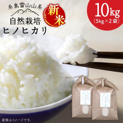 ふるさと納税 糸島市 自然栽培 ヒノヒカリ 10kg 糸島市/大石ファーム [ATE002]