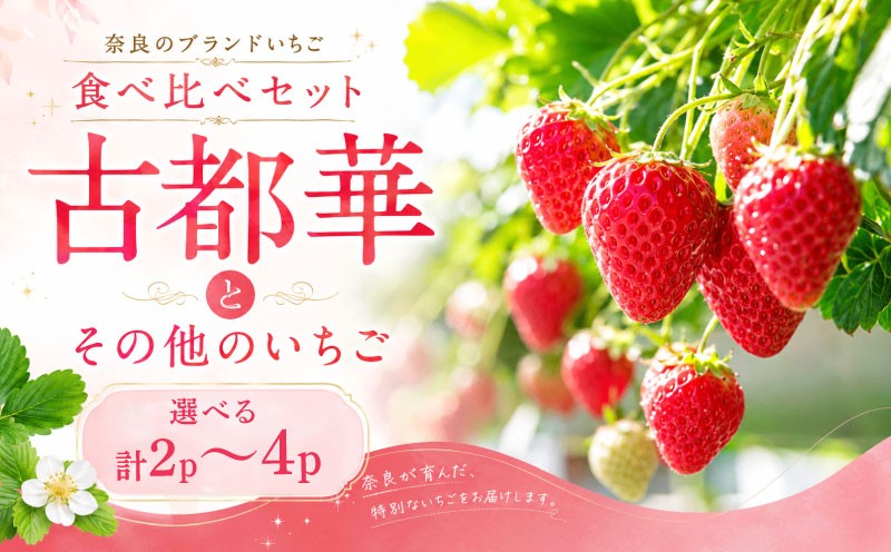 
                  いちご ことか 食べ比べ 2種 計2~4パック 先行予約 2027年発送 古都華 苺 フルーツ 果物 ストロベリー 甘い スイーツ デザート 数量限定 産地直送 冷蔵 ブランド苺 プレゼント ギフト 贈答 家庭用 フレッシュ 新鮮 旬 itigo strawberry かおりの 珠姫 たまひめ 奈乃華 なのか ならあかり あすかルビー イチゴ ならいちご 奈良県 奈良市 奈良 なら めいとく農園
                