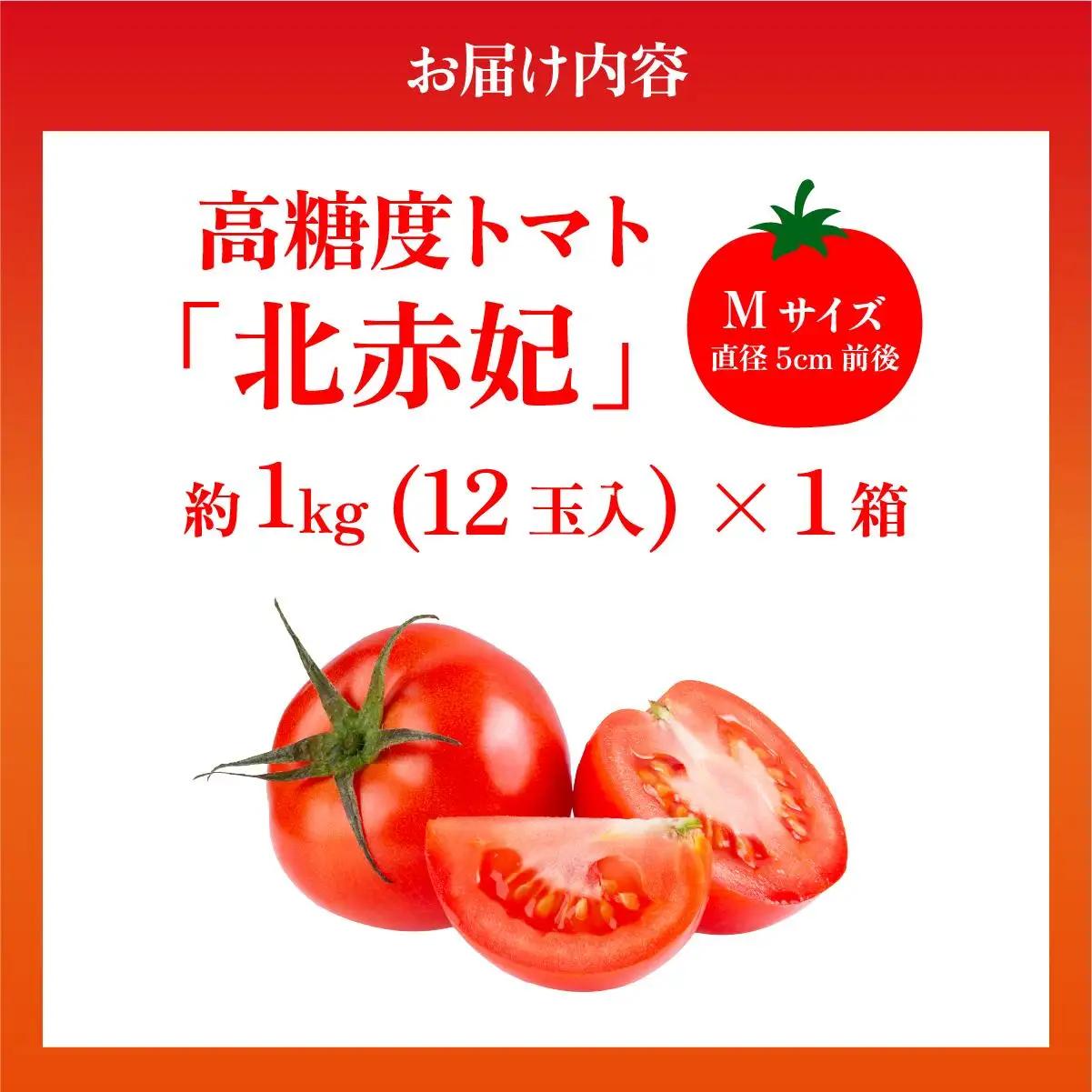 【2026年 発送 】 先行予約 北海道 伊達市 高糖度 トマト 北赤妃 きせき 約1kg  1箱 Mサイズ とまと 新鮮 ジューシー 産地直送