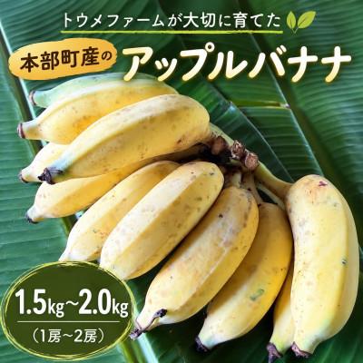 ふるさと納税 本部町 トウメファームが大切に育てた本部町産のアップルバナナ1.5kg〜2.0kg(1房〜2房)