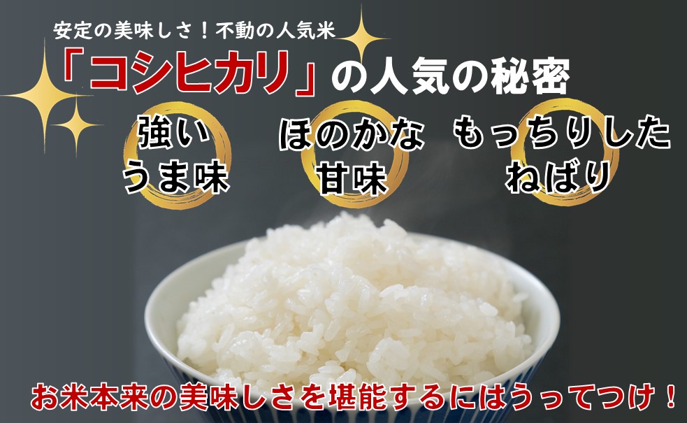 生産者の顔が見える米　コシヒカリ　白米10kg（飯豊町産）【新米予約】