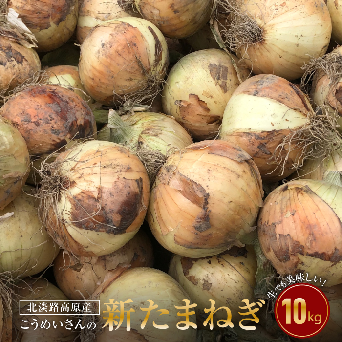 【新玉ねぎ】こうめいさんの玉ねぎ10kg【発送時期：2026年4月下旬～6月上旬頃】