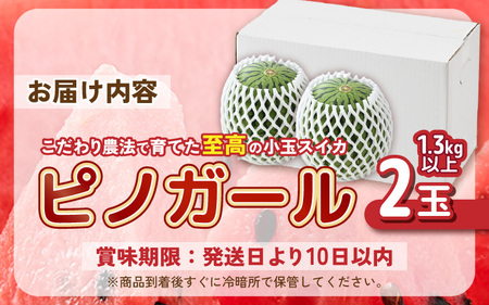 【先行予約】 安心安全！減農薬！こだわり農法で育てた至高のピノガール (小玉スイカ) 2玉 (1玉あたり：1.3kg以上) 【2026年7月中旬以降順次発送予定】 【スイカ 西瓜 すいか デザート 果
