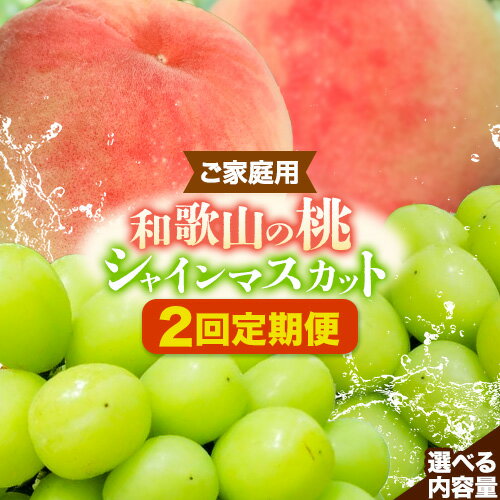 【ふるさと納税】【2回定期便】【ご家庭用 訳あり】和歌山の桃 約2kg (6玉~8玉) 大粒 シャインマスカット 約1.2kg または 1.4kg m&n果実園 《2025年6月中旬-10月下旬頃出荷》和歌山県 紀の川市 送料無料 桃 旬 果物 フルーツ【配送不可地域あり】