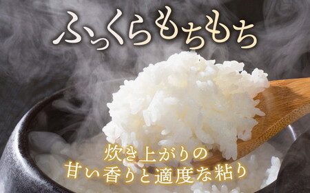 とちあいか（約300g×2パック）＆令和8年産無洗米コシヒカリ5kgセット！｜いちご とちあいか 米 | お米 白米 米 こめ コメ 5キロ 尚仁沢湧水 栃木県 塩谷町 ※2026年12月～発送