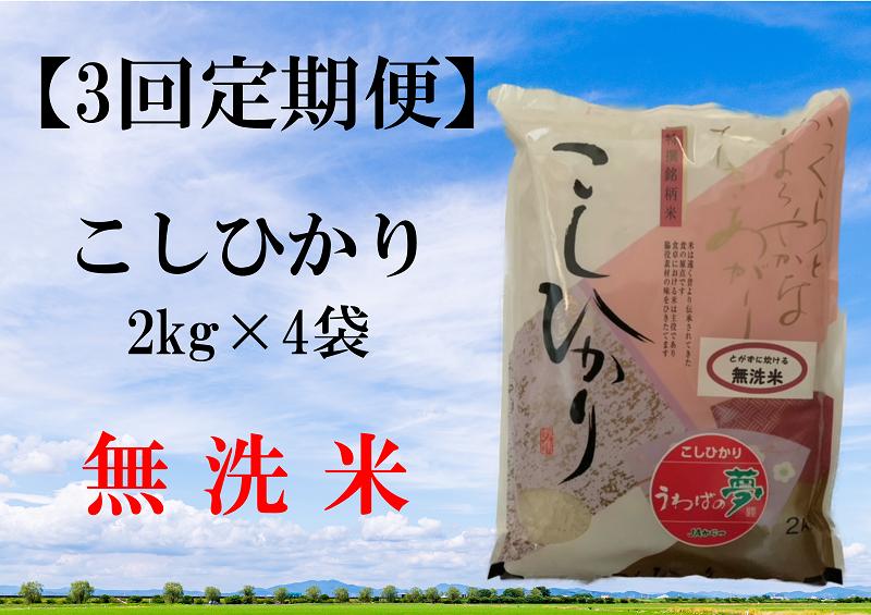 
【3回定期便】無洗米こしひかり2kg×4袋
