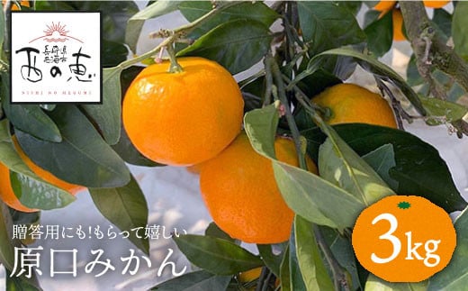 みかん 【11月中旬よりお届け☆贈答にもオススメ】「西の恵」 原口 みかん 約3kg＜ファームまるだ＞ [CDT005]  長崎県 西海市 みかん ミカン 柑橘 フルーツ 西海 オレンジ 果物 ミカン 贈答 ギフト フルーツ 果実 甘い あまい デザート 新鮮 産地直送 くだもの