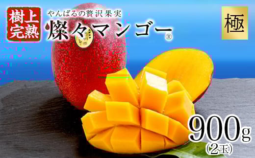 
            ＜2026年発送分は公開準備中・最高級 極＞燦々マンゴー900g(2玉)【1622439】
          