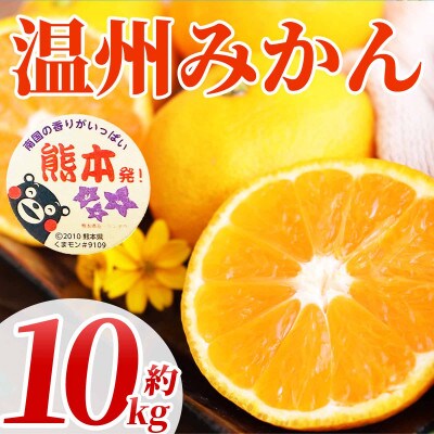 温州みかん 2S～2L 約10kg(宇城市)【1638952】