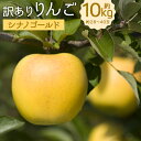 【ふるさと納税】訳あり りんご シナノゴールド 約10kg 約28～40玉 訳あり ご家庭用 りんご リンゴ 林檎 フルーツ 果物 岩手県産 送料無料 【2024年12月下旬～2025年1月下旬に順次発送予定】