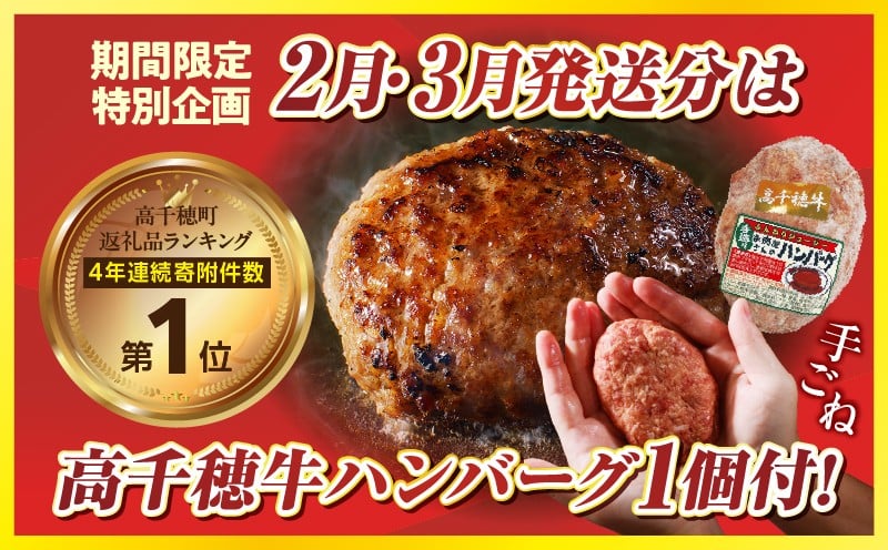 C-11 高千穂牛 すね肉 800g