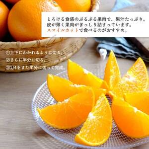 最高級みかん 媛皇 甘平×まどんな 3kg「紅プリンセス」と同品種 愛媛果試48号【E25-313】【1713689】