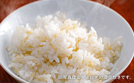 【定期便】清家農園 錦米（にこまる）玄米3kg×6回お届け【特別栽培・農薬不使用】 玄米