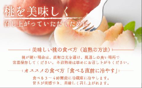 桃 5kg 訳有 先行予約 2024年 秀品 品種おまかせ 白鳳 , あかつき , なつっこ , いずれか1品種 光センサー選別品 配送本州限定 2024年8月上旬?下旬発送 長野 飯綱 [0055]