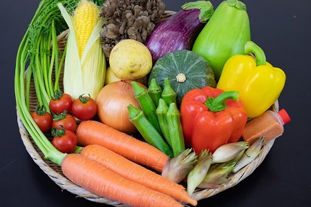 A-120 【期間限定】高原の町「飯南町」旬のお野菜セット～いっぺんたべてみんさい♪（２０セット限定）