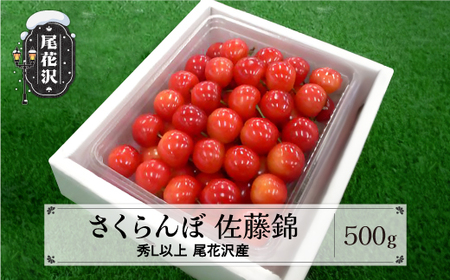 先行予約 さくらんぼ 佐藤錦 500g 秀 Lサイズ以上 2026年産 令和8年産 (サクランボ 果物 フルーツ 尾花沢産 山形県産 山形 kb-snkzx500)