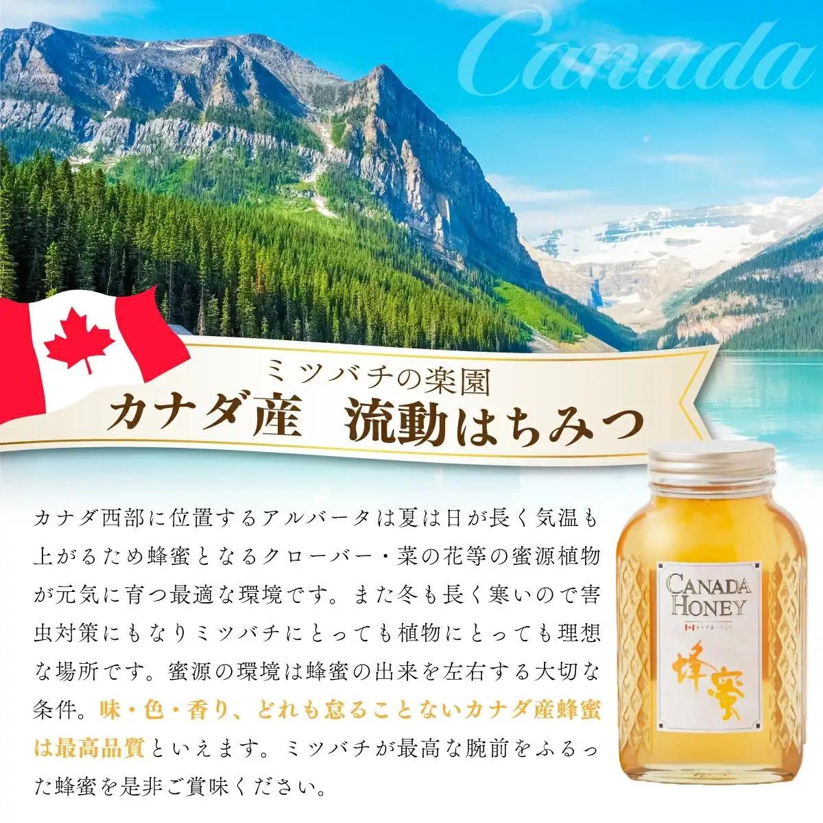 はちみつ ハンガリー産アカシア蜂蜜・カナダ産流動蜂蜜 はちみつ