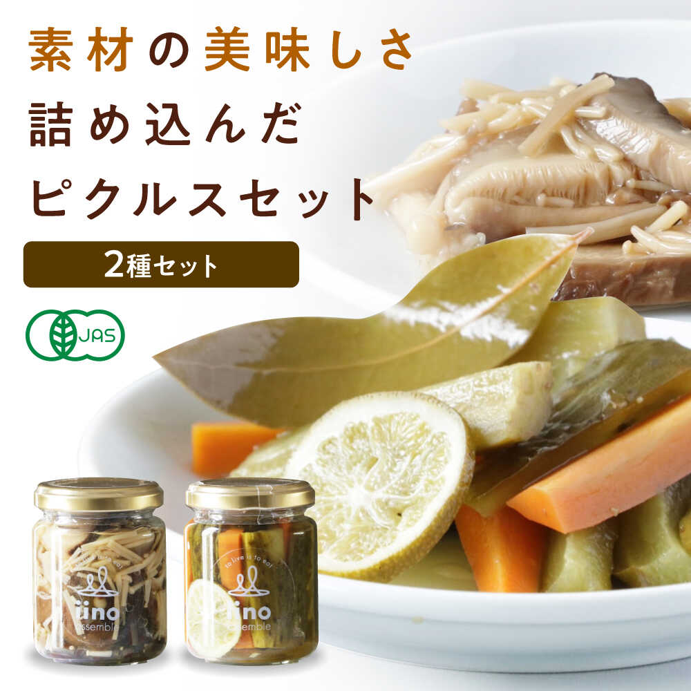 【ふるさと納税】惣菜 ピクルスセット 2個入り 愛媛県大洲市/iino assemble[AGAA014] ピクルス 野菜 やさい 詰め合わせ セット 加工食品 漬物 お漬物 おつけもの しいたけ えのき きのこ 料理 アレンジ 簡単 副菜 おすすめ 人気 お取り寄せ 送料無料 贈答 ギフト