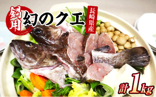 長崎の森で育てた『幻のクエ』 鍋用 約500g 2～3人前×2セット くえ 海鮮 魚介類 魚 お魚