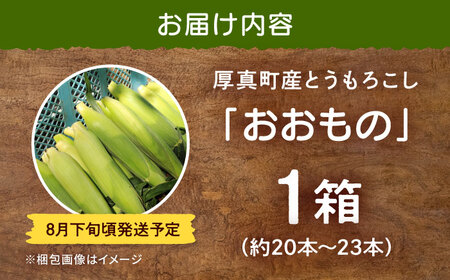 【2026年8月下旬発送予定】とうもろこし おおもの 先行予約  [AXAE001] 