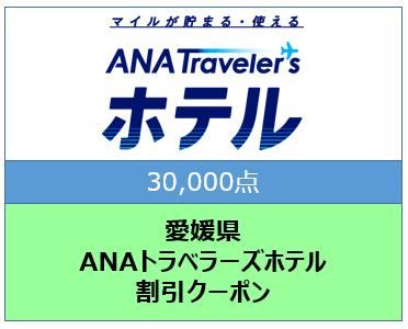 愛媛県ANAトラベラーズホテル割引クーポン（30,000点）