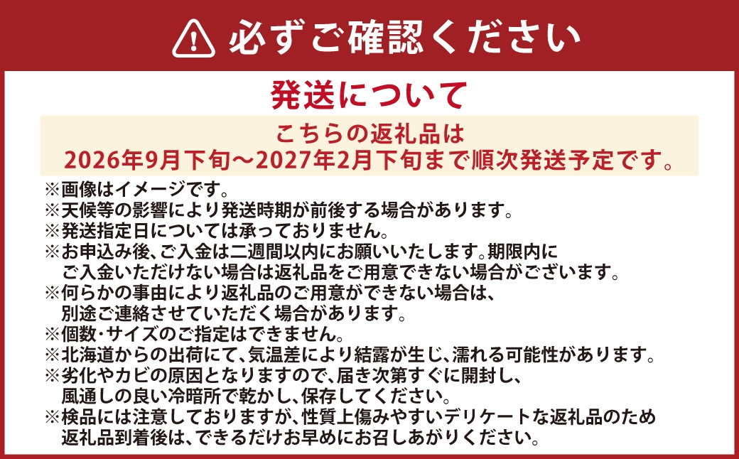じゃがいも（男爵）Lサイズ約10kg1箱JA