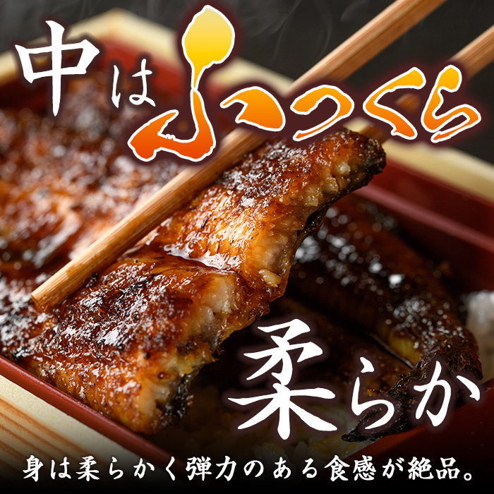 i799 鹿児島県産 鰻重(1人前)【とらふぐ家】