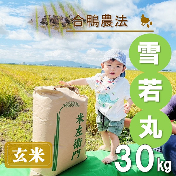 
                  【令和7年産・玄米】ecofarmすがわらの合鴨農法雪若丸30kg
                