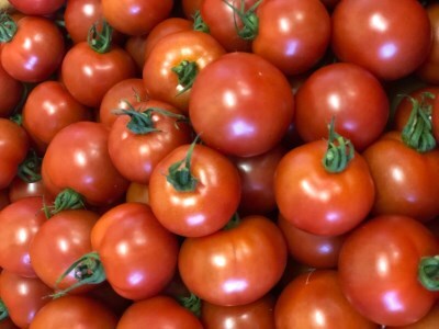 採れたてミディトマト 4kg（500g × 8パック） _b-249