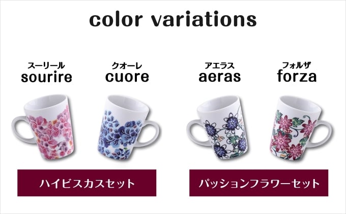 選べるカラー【ハイビスカスセット・パッションフラワーセット】| 紅琉 BINRYU | 沖縄県 宜野湾市 送料無料 ふるさと納税