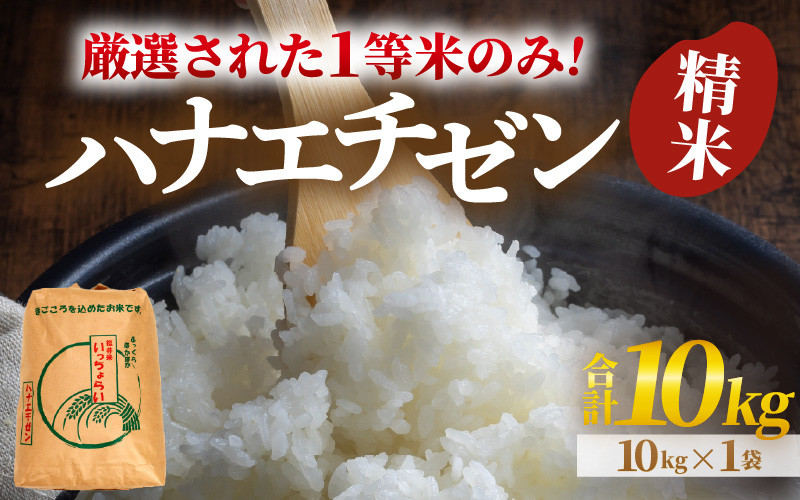 
            【先行予約】【令和7年産・新米】【一等米】ハナエチゼン 精米 10kg ×1袋《発送直前精米！》  ／ 福井県産 ブランド米 ご飯 白米 お米 コメ 新鮮 大賞 受賞 新米 【2025年9月上旬より順次発送予定】 [aw012-b012]
          