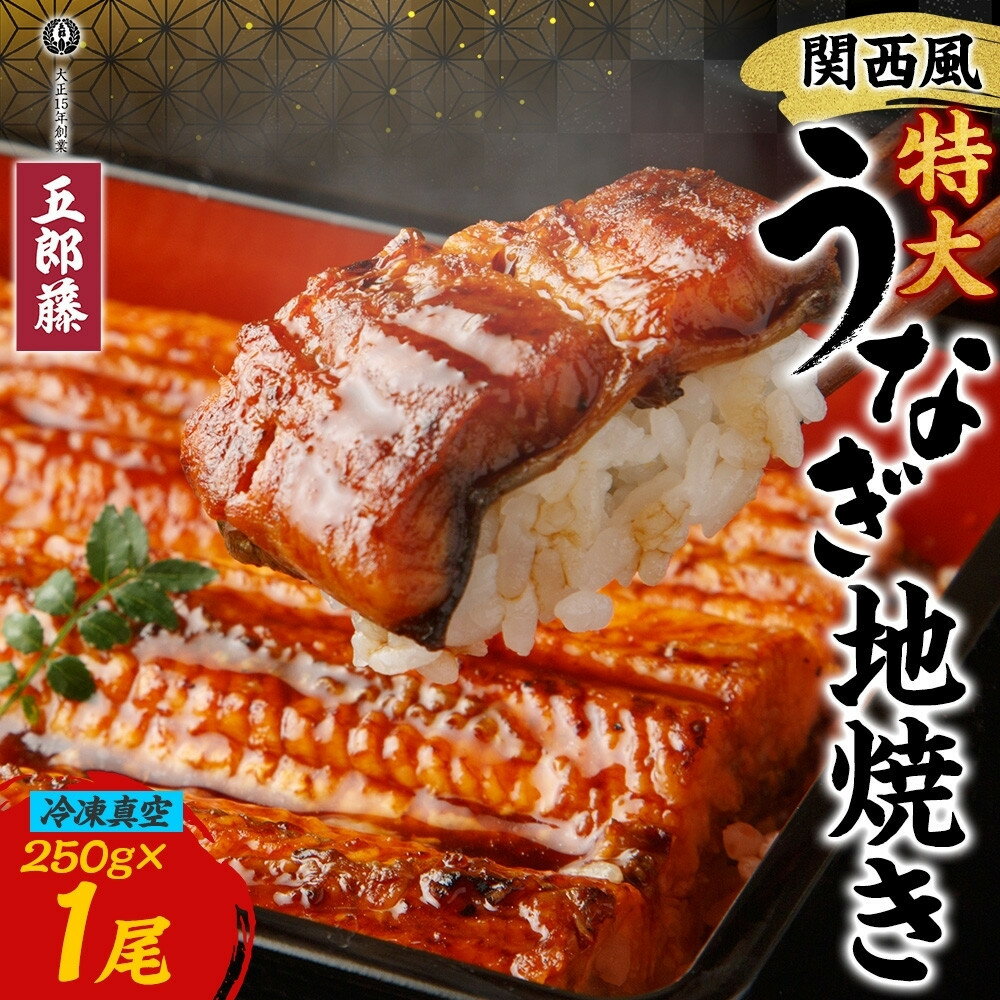 【ふるさと納税】関西風うなぎ地焼き特大 冷凍真空 1尾×250g うなぎ ウナギ タレ 老舗 伝統 蒲焼き 真空パック 小分け 丑の日 ひつまぶし うな重 お取り寄せ グルメ プレゼント 贈答 贈り物 土用の丑の日 五郎藤 大阪府 堺市 | おすすめ 人気 送料無料