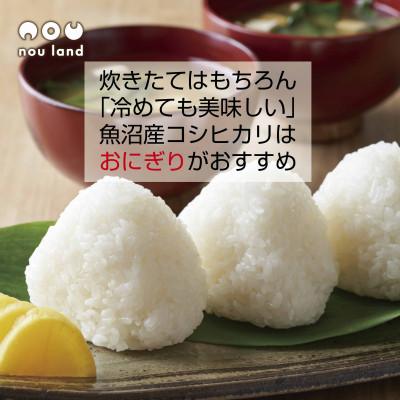 ふるさと納税 十日町市 【令和7年産 予約】 魚沼産 コシヒカリ 特別栽培米 6kg 新潟県 十日町市 のうランド |  | 02