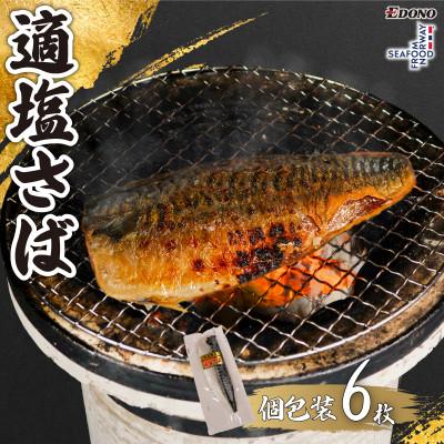 ふるさと納税 銚子市 適塩さば(真空)　6枚入