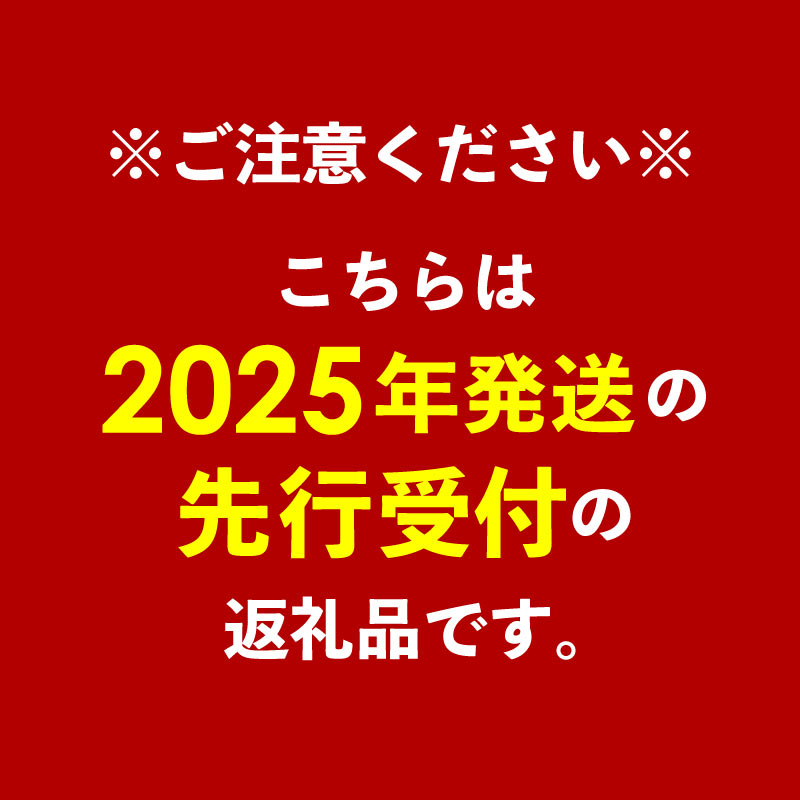 【先行受付】【2025年発送】南の果実園 キーツマンゴー 2kg（2～4玉）