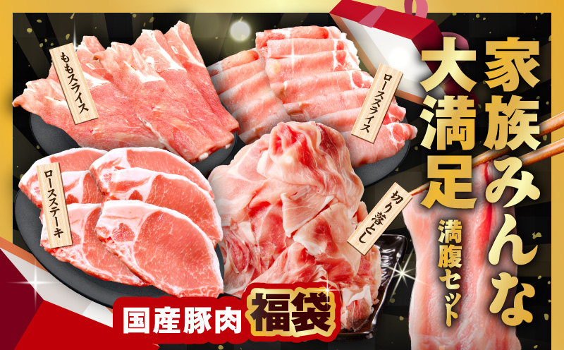 【定期便】国産豚肉 4種 福袋 4.2kg×全2回【氷温熟成×極味付け 小分け 300gパック ぶたにく 普段使い 野菜炒め 切り落とし まとめ買い 訳あり サイズ不揃い 2026年1月＆4月発送】 