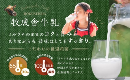 明治30年創業の牛乳屋 牧成舎の低温殺菌牛乳 1L×6本[A0086w] 