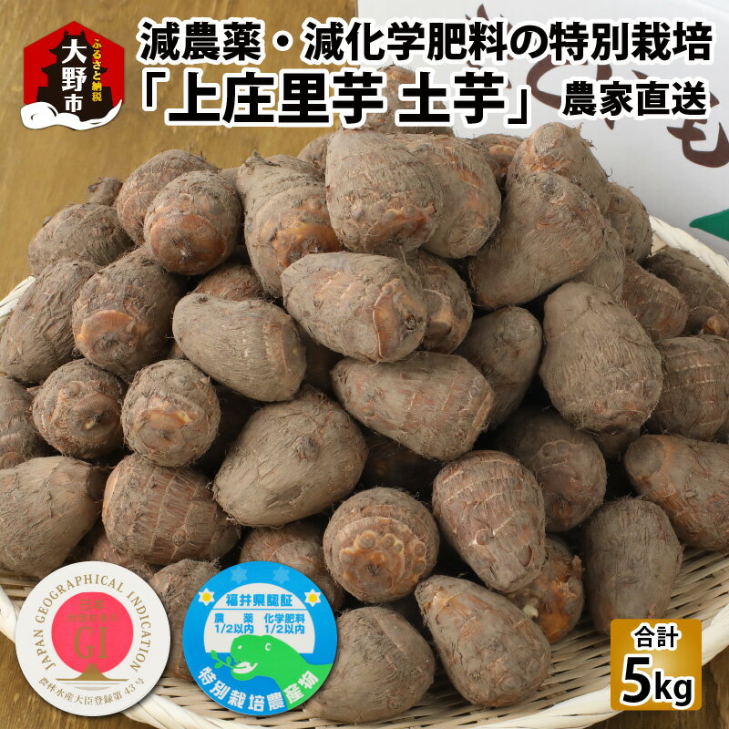 【ふるさと納税】【先行予約】【年内発送】減農薬・減化学肥料の特別栽培里芋上庄里芋 土芋5kg 農家直送【10月～年内出荷】 [A-019002]