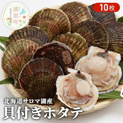 【ふるさと納税】【国内消費拡大求む】先行予約 北海道 サロマ湖産　貝付き ホタテ 10枚 帆立 ほたて 刺身 海鮮 魚介 国産 殻付き 冷蔵 オホーツク 魚貝類 貝付きホタテ 魚介類 　お届け：2025年11月～2026年1月中旬頃まで