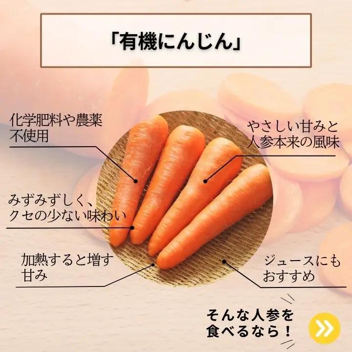 人参 2kg 人参