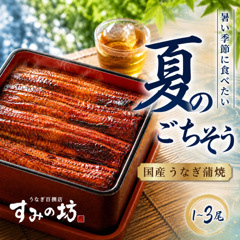 【ふるさと納税】夏のごちそう 国産うなぎの蒲焼き 1～3尾 うなぎ《1尾につき160g～180g》 特上サイズ 手焼き 炭火 個包装 真空パック 冷凍 鰻 大きい ウナギ 土用丑の日 うな重 うな丼 鰻重 プレゼント 贈り物 ギフト 期間限定 すみの坊 三島うなぎ 静岡県 三島市