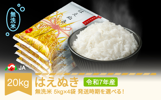 米 20kg 5kg×4 はえぬき 無洗米 令和7年産 2026年8月上旬 ja-hamxa20-8a