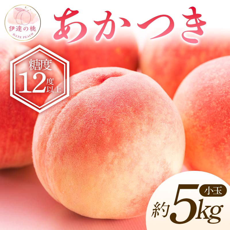 【ふるさと納税】【2026年出荷分先行予約】福島県産 あかつき 約5kg (20～22玉) 特秀 小玉 透過式光センサー選別 伊達の桃 桃 フルーツ 果物 もも モモ momo F20C-586