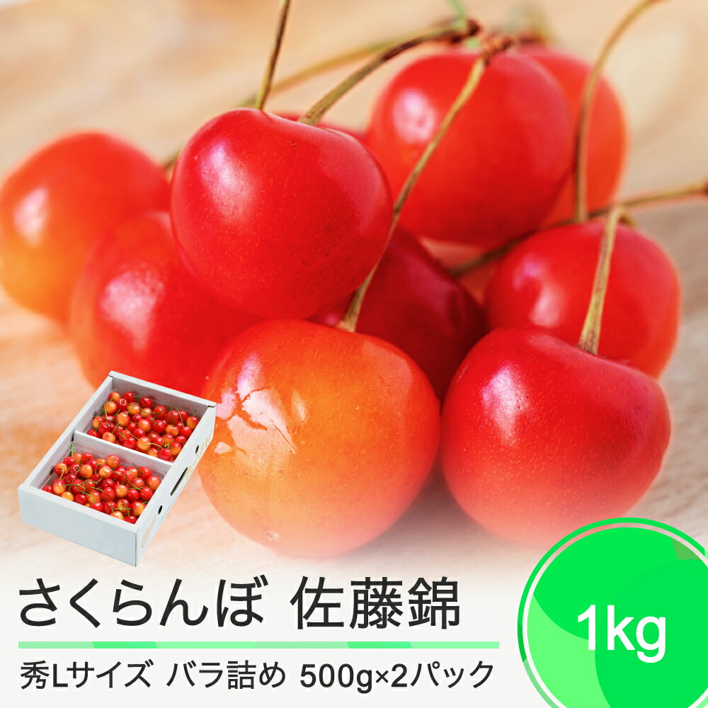 【ふるさと納税】 さくらんぼ 佐藤錦 6月中旬〜下旬発送 秀Lサイズ プレゼント ギフト バラ詰め 1kg(500g×2パック) 2025年産 山形県産 送料無料 サクランボ