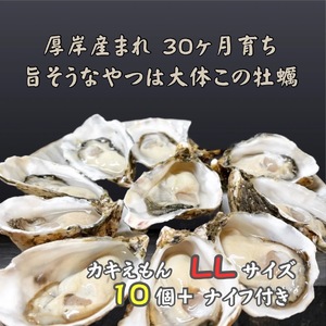 厚岸産牡蠣 LLサイズ 10個 カキえもん 30か月育成 牡蠣