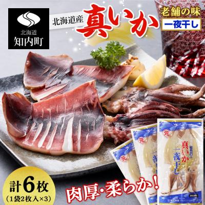 ふるさと納税 知内町 老舗の味 真いかの一夜干し 2枚入×3パック　<秋元水産>
