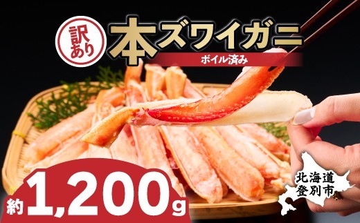 
                  かに 本ズワイガニ 訳あり 冷凍 ボイル 足 ハーフポーション 1200g | カニ 蟹 本ずわいがに ズワイガニ ずわいがに 不揃い 規格外 海産物 海鮮 かにしゃぶ かに鍋 ギフト ふるさと納税 北海道 登別市
                
