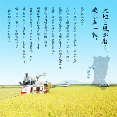 ふるさと納税 潟上市 【ふるさと納税】米 令和7年産 秋田県産 あきたこまち 無洗米 10kg 人気【秋田のこまち農場】 |  | 01